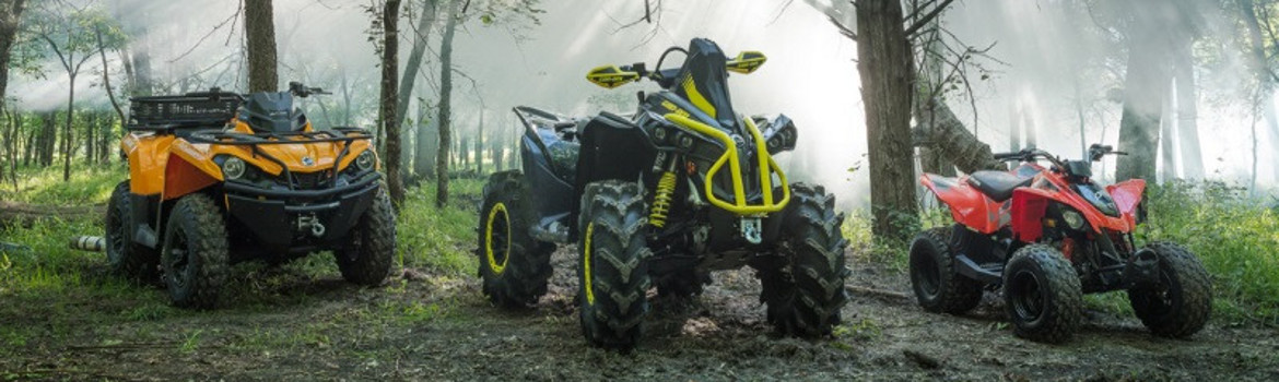 2018 Can-Am® Renegade® 570 for sale in Bruce's Recreation, Clarenville, Newfoundland